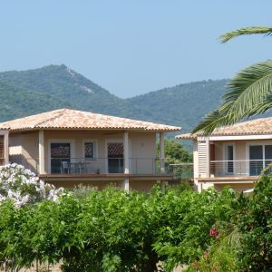 Jardin appartements hôtel le pinarello en corse